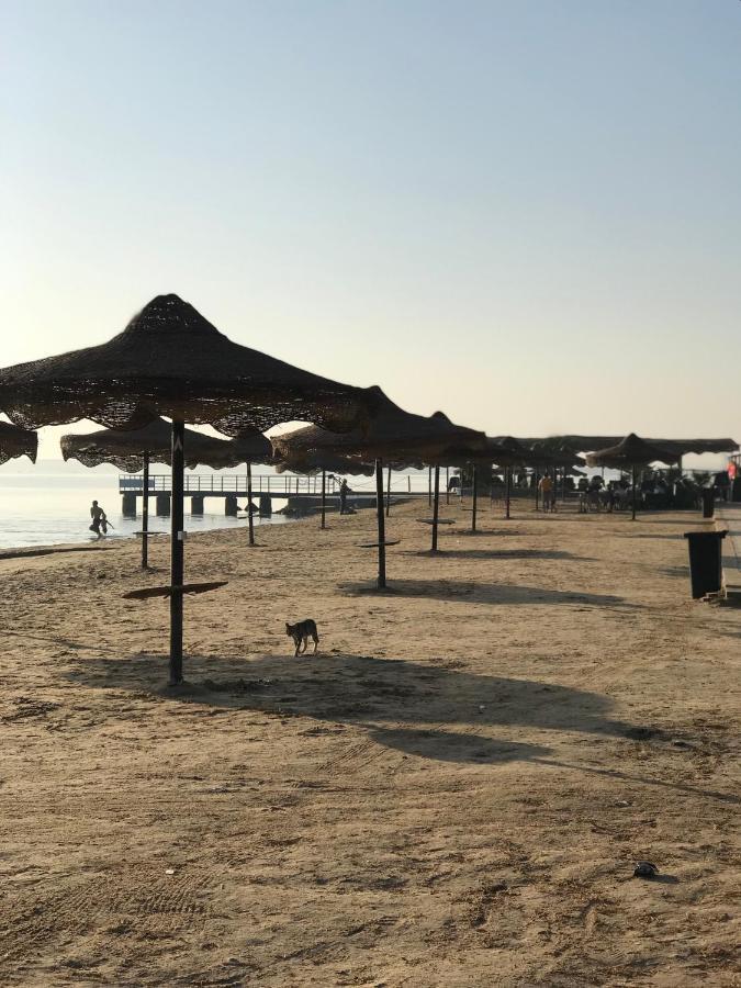 AL Norus Village Ismailia Exteriör bild